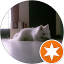 Colin Wong profile picture